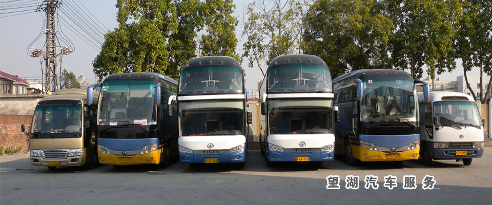 杭州望湖汽車(chē)服務(wù)有限公司